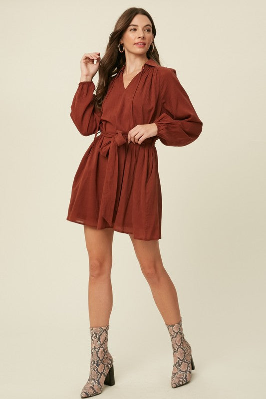 Linen Textured Cotton Collared Dress