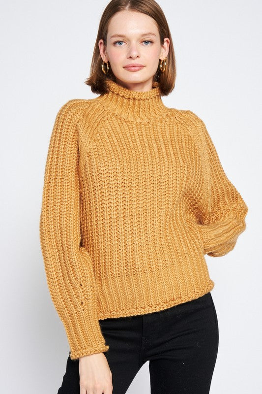 Knitted Turtle Neck Sweater