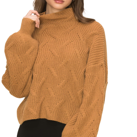 Brown Chunky Turtle Neck Sweater