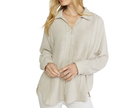 Semi-Sheet Stripe V-Neck Long Sleeve Top