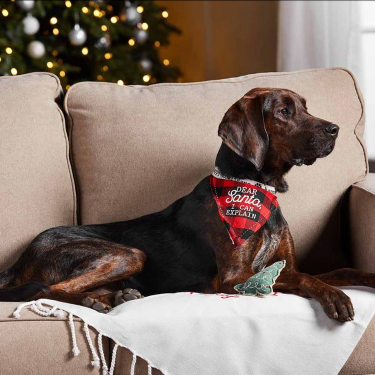 Mud Pie Christmas Dog Bandana and Toy Set