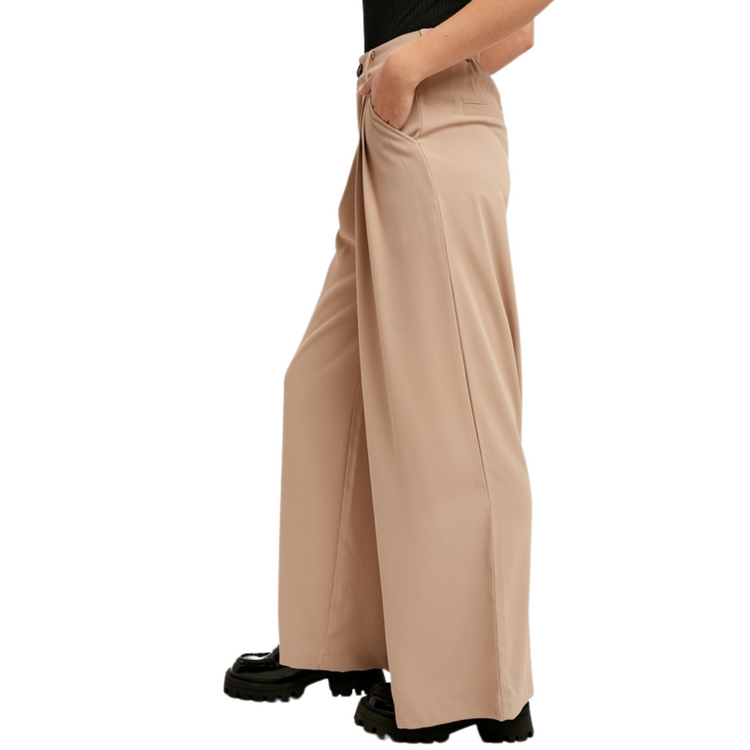 Ivory Taupe Wide Leg Pleated Pants