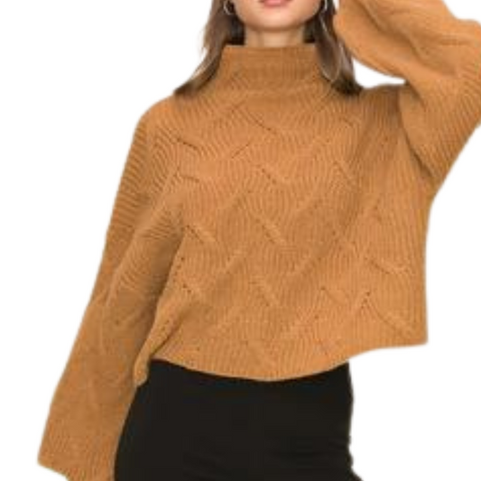 Brown Chunky Turtle Neck Sweater